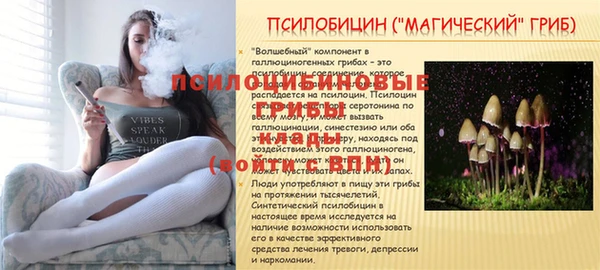 не бодяженный Зеленодольск