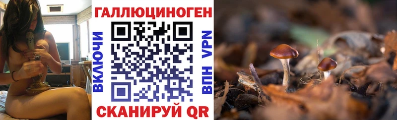 Галлюциногенные грибы мухоморы  Купить  Губаха 